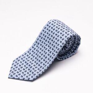 Alara Men Paisley Cotton Tie Blue 3519